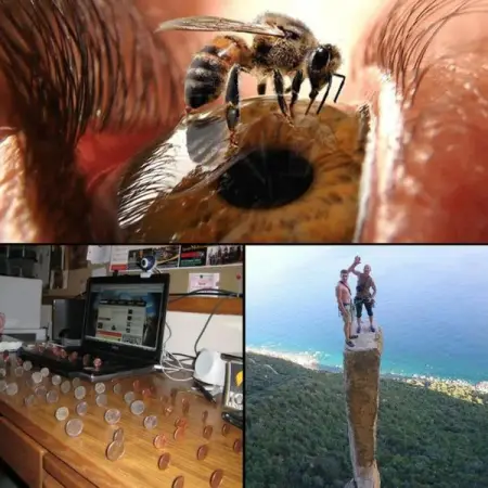 Camera segreta sottacqua
THEFASHIONBALL.COM
45 foto che fanno subito sudar