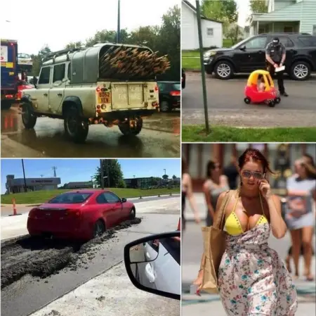 These peoples road trips just got a lot more memorable when they looked out the window a