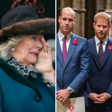 Prince William and Prince Harry are no strangers to parent problems, though t