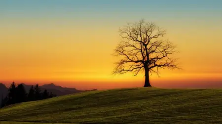 Cristo Para las Naciones Fiori
Internet company
5,817 people like this
L