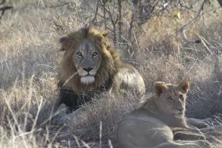 Take it from these lovebirds Nothing is sweeter than time spent away from the wo