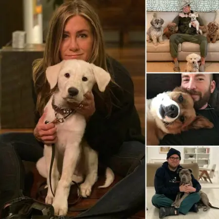 Here are some adorable pictures of celebrities and their spoiled dogs that w