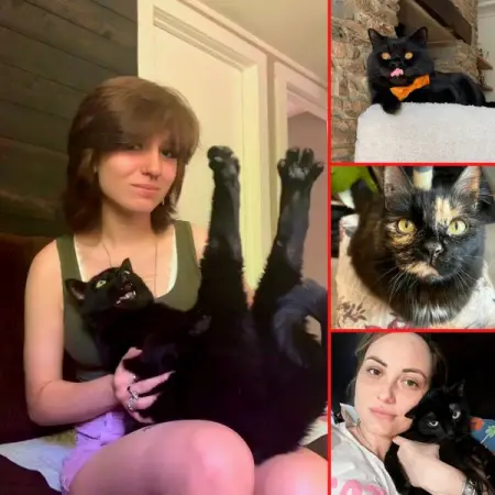 Weve clawed our way through the internet to find some of the most intrig