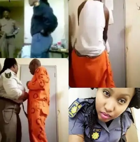 SMART.BIO
  539
Watch More
 