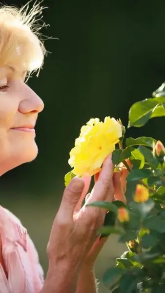 Easy to use, good for thought, calms the nerves. Thx
APPS.APPLE.COM
Great brain food
AnagrAp