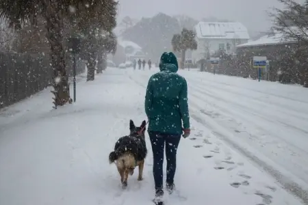 Why give away a Bestselling Mystery?
Were betting youll be hooked!

If Alex Cross ha