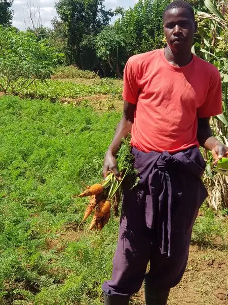 BLAZE......Do you Buy and Resell vegetables and farm produce? Market  Intem