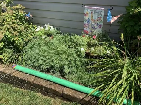 Pool noodles are actually really useful!
YOURMONEYMAGIC.COM
Mom Cuts A Pool Noodle And