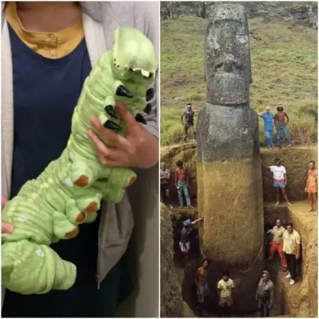 A veces nuestra percepcin de los tamaos es errnea, y estas fotos revelan el