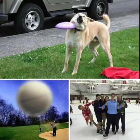 40 Photographs Of That Split-Second Before An Accident Happens
MONEYPPL.COM