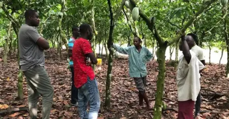 We are a software as a service company that provides prescription planti