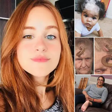 Here are some clever, questionable, creative, and witty ads that companies 