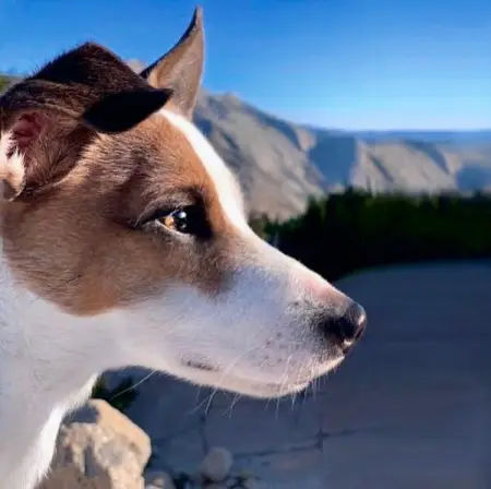 This is how we love each other I take you with me, and I watch you watching the world.
I