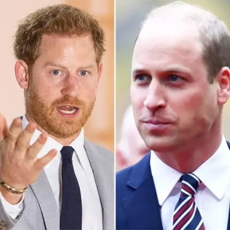 The big disclosure Prince Harry and Meghan recently made shed light on the no