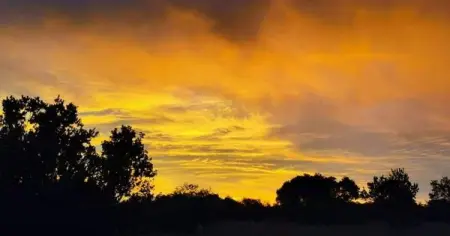 Welcome to Erasmus Bush Camp Erasmus Bush Camp is situated in Dinokeng Game Reserve and 