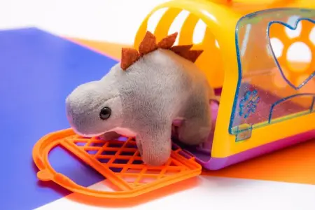 Our personalized boxes are full of amazing toys that your kids will absolutely love 

Each b