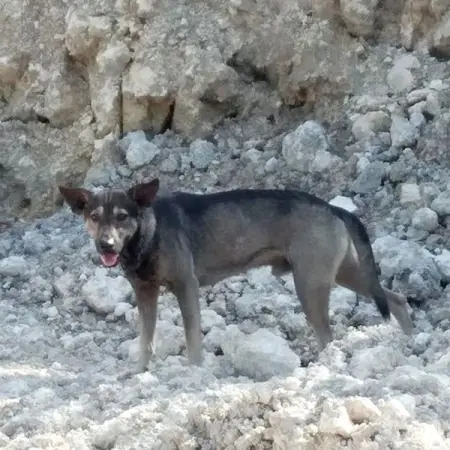 While riding his motorcycle through a rural area one afternoon, Junrell Fuente