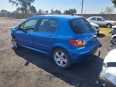 Peugeot 307 Stripping for Spares - R111.00

Peugeot 307 Stripping for Sp