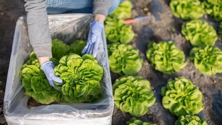 Climate discussions are a reminder that industries must change. What w