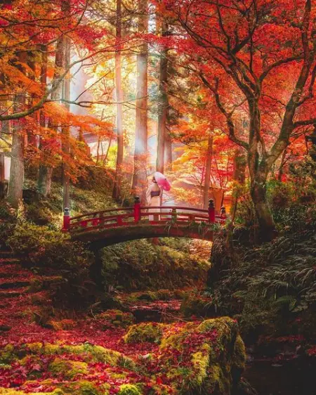 .


Photo by chorori__n 


Camera  Nikon D750
Lens  SIGMA 24-105mm F4 DG OS HSM


Locat