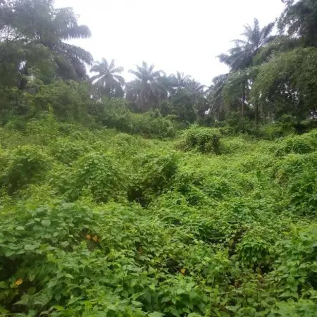 REAL ESTATE OPPORTUNITY IN OWODE-EDE
4 Acres of land available for sales
 