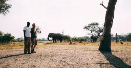 A local owner operated safari company that offers unforgettable wildlife expe