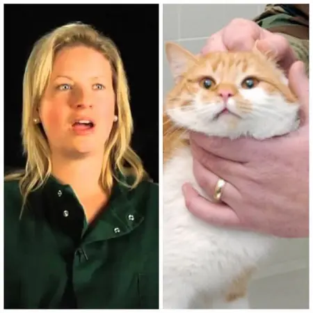 Living alongside human beings has caused a peculiar physiological change in domesticated c