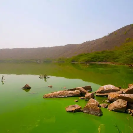 En lo profundo de una jungla india, un antiguo lago sufri una transfor