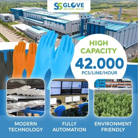 SS Glove Corporation
Business
612 people like this
Like Page