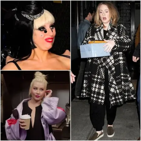 Lady Gagas fans are so passionate that theyve even been given a nicknam