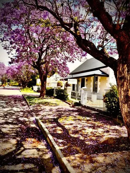 VLETTERSHOF.CO.ZA
Vlettershof Guest House
Learn More
 