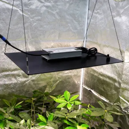 Meijiu LED Grow light - 480watt - ZAR10,000.00

This weekend only !!

Wit